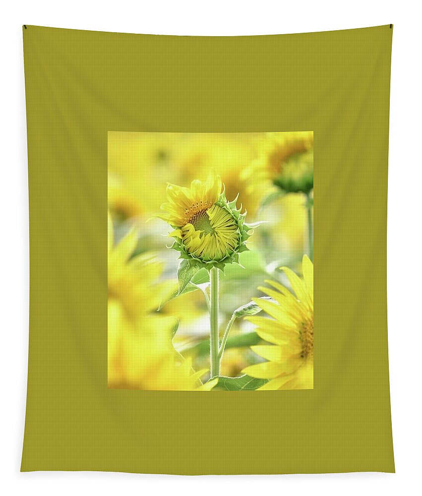 Sunflower Tapestry featuring the photograph Sumertime by Carolyn Mickulas