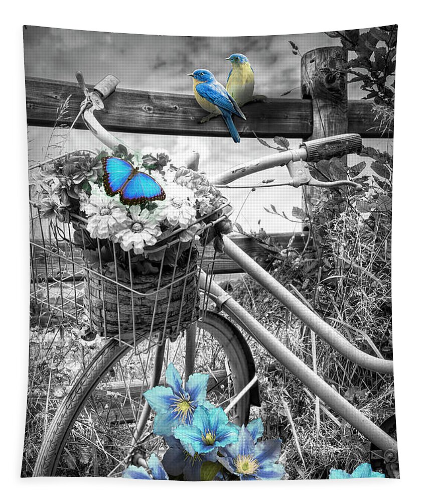 Barns Tapestry featuring the photograph Summer Breeze on a Bicycle Black and White with Blue Color Selec by Debra and Dave Vanderlaan