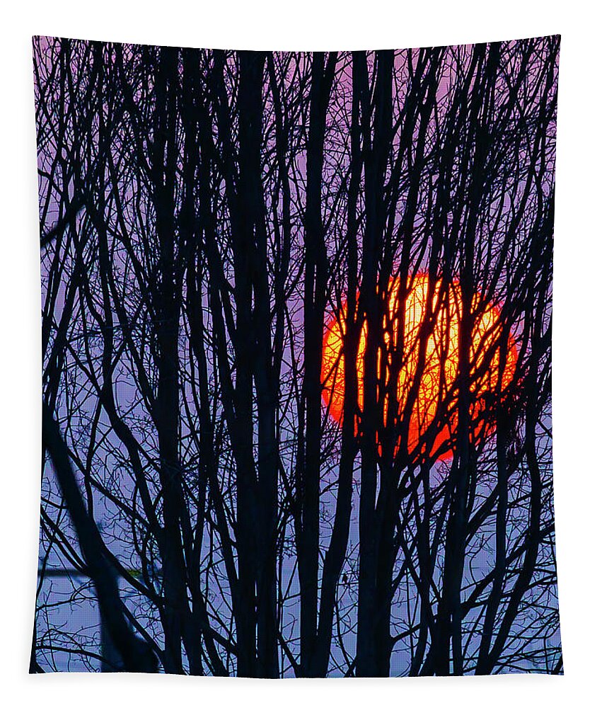 Sun Tapestry featuring the photograph Sun Caught in Tree Branches by Garry Gay