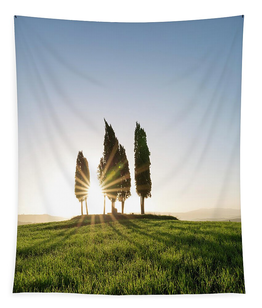 April Tapestry featuring the photograph Sun of Val d'Orcia by Francesco Riccardo Iacomino