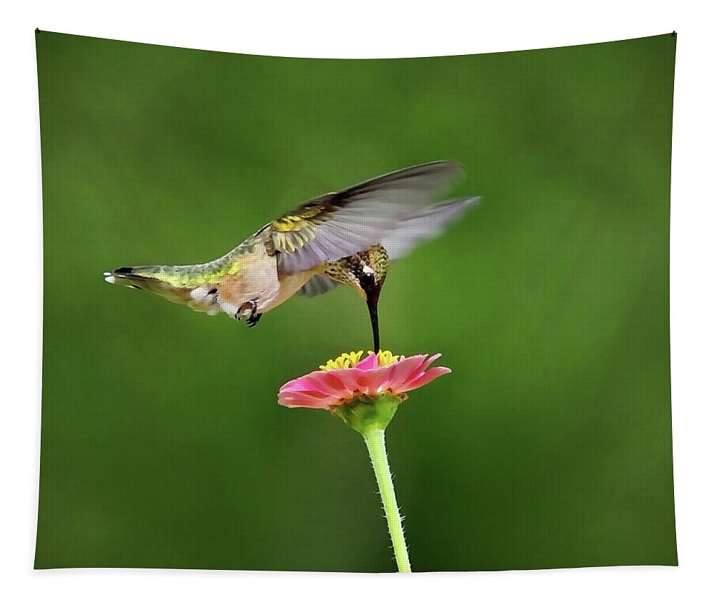 Hummingbird Tapestry featuring the photograph Sun Sweet by Christina Rollo