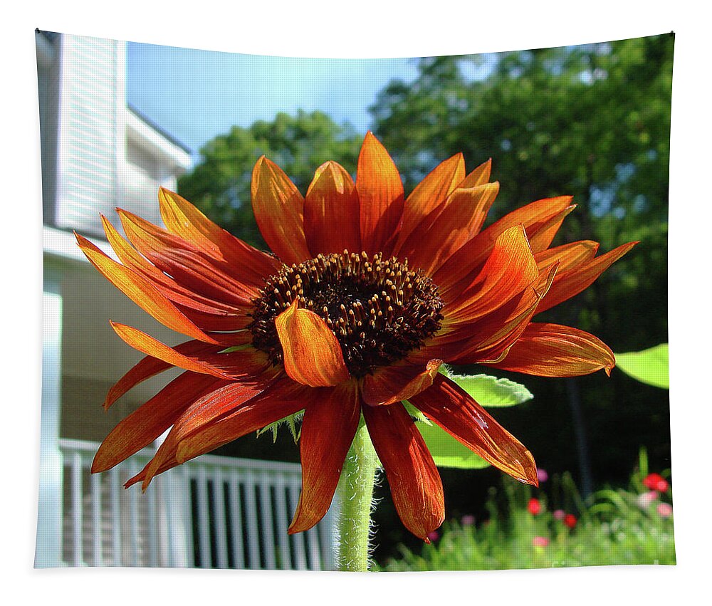 Sunflower Tapestry featuring the photograph Sunflower 39 by Amy E Fraser