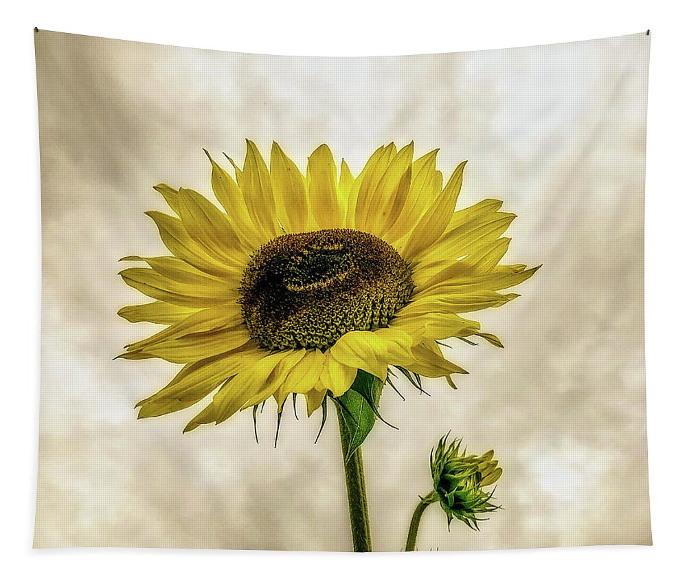 Sunflower Tapestry featuring the photograph Sunflower by Anamar Pictures