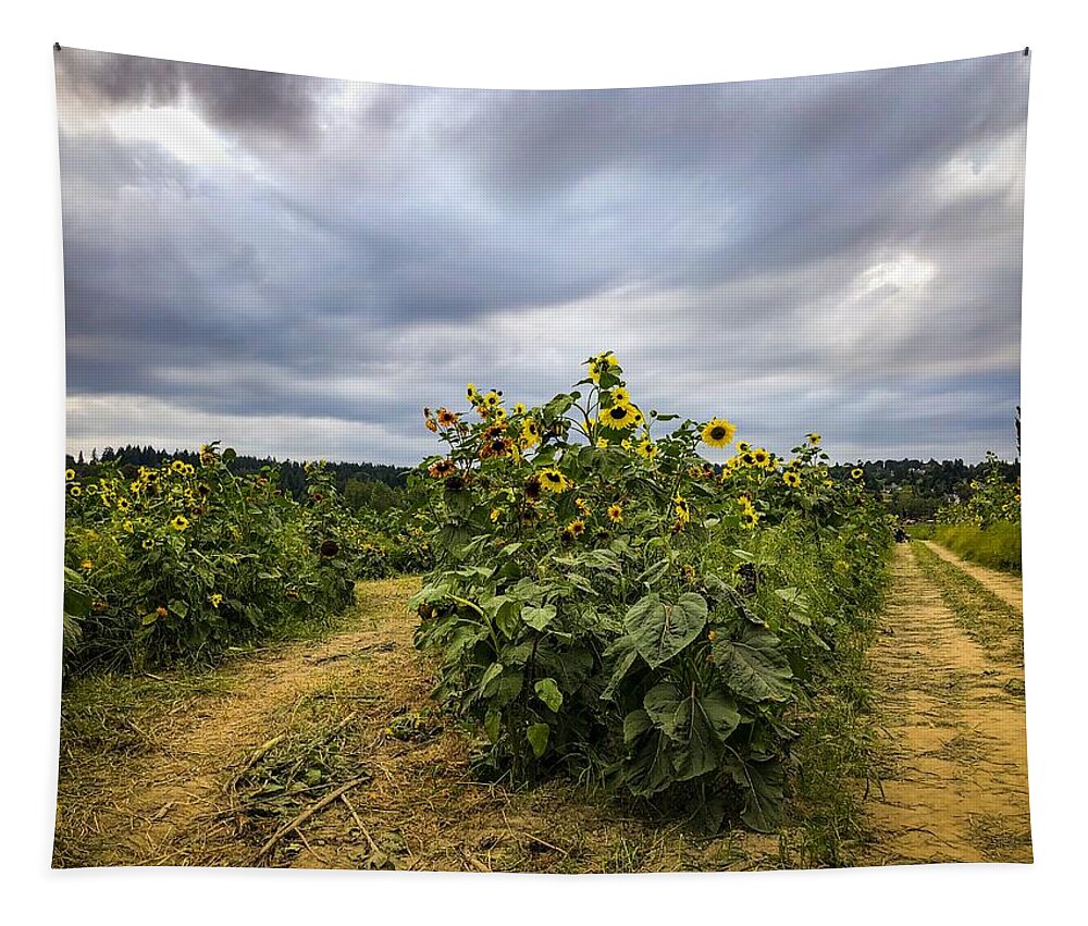 Flower Tapestry featuring the photograph Sunflower Farm by Anamar Pictures