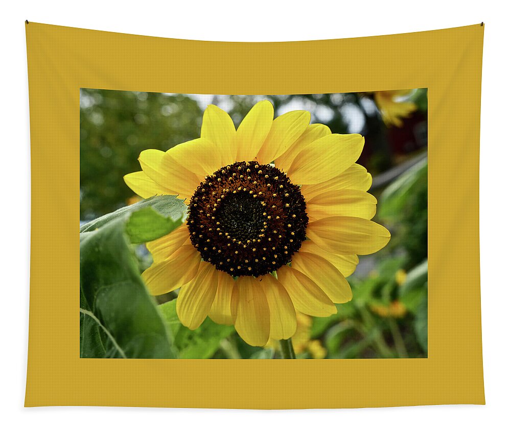 Sunflower Tapestry featuring the photograph Sunflower by Kathy Chism