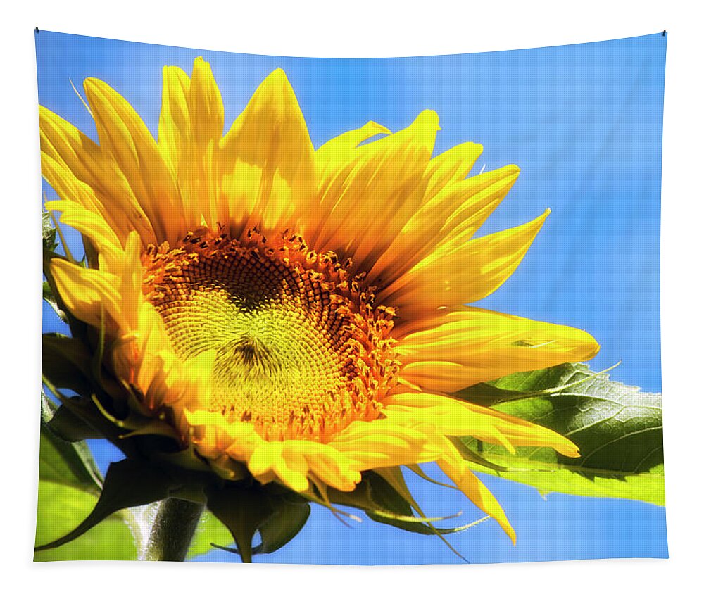 Sunflowers Tapestry featuring the photograph Sunflower And Sky by Christina Rollo