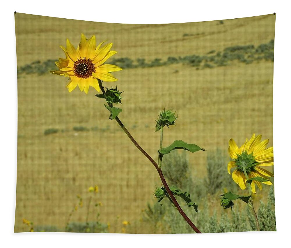 Sunflower Tapestry featuring the photograph Sunflower by Susan Jensen