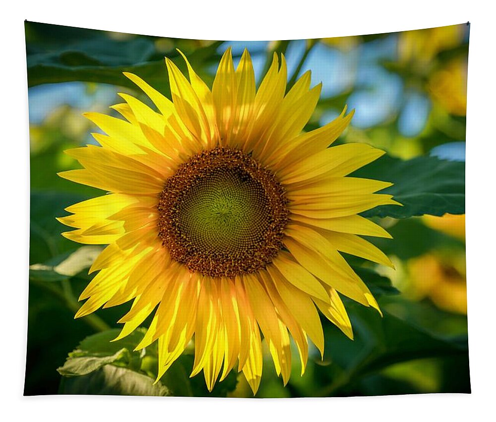 Flower Tapestry featuring the photograph Sunflower by Susan Rydberg