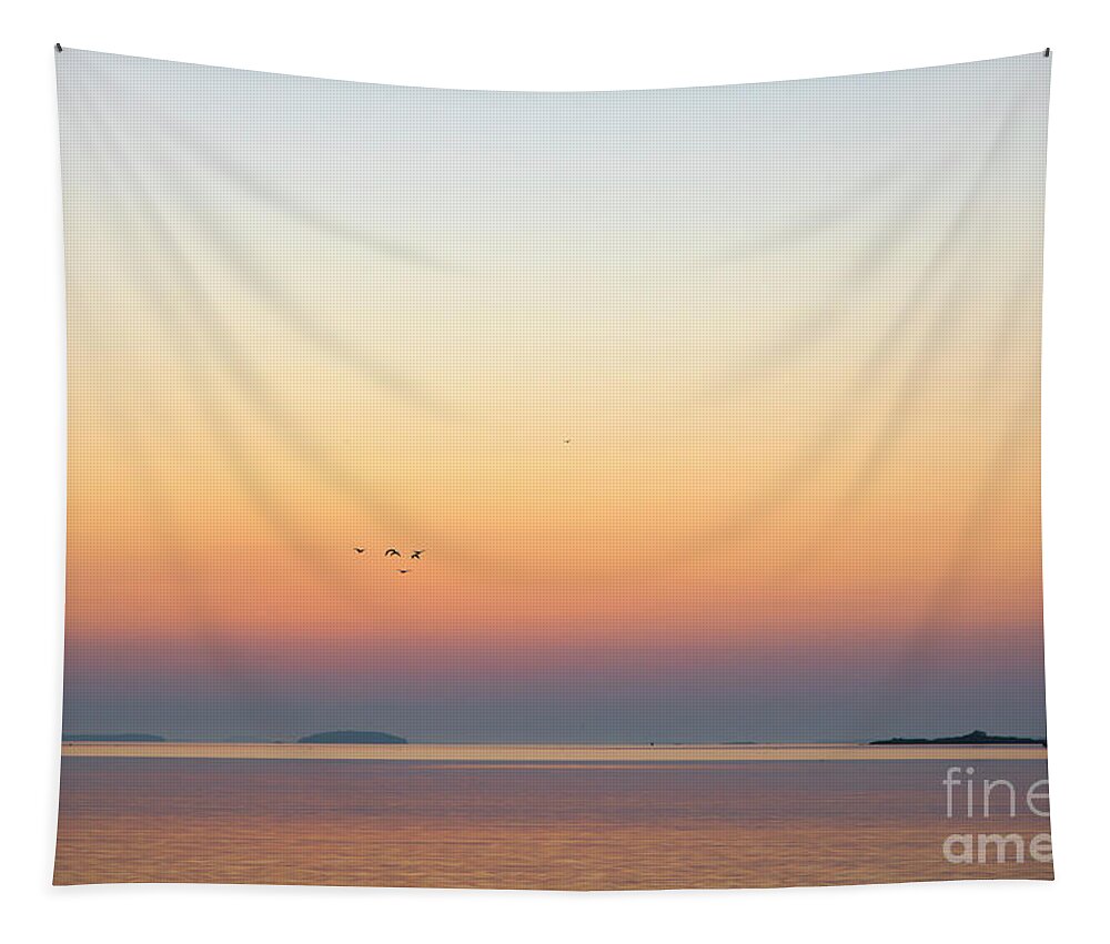 Maine Tapestry featuring the photograph Sunrise over West Penobscot Bay, Maine by Diane Diederich