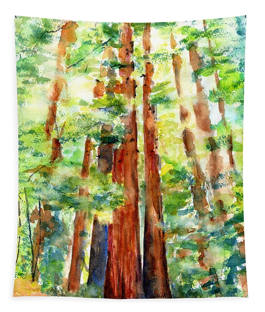 Redwoods Tapestry featuring the painting Sunlight through Redwood Trees by Carlin Blahnik CarlinArtWatercolor