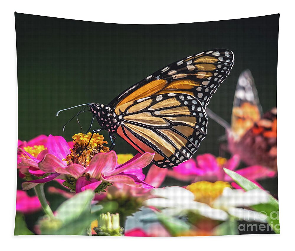 Cheryl Baxter Photography Tapestry featuring the photograph Sunny Day Monarch by Cheryl Baxter