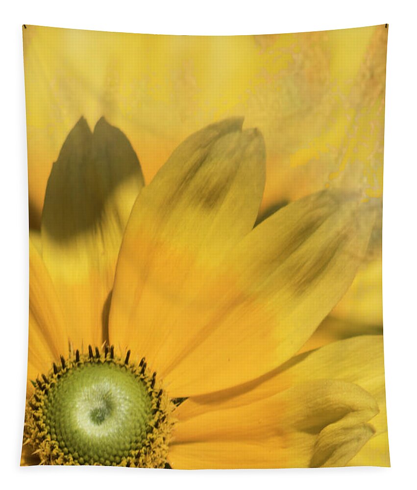 Floral Tapestry featuring the photograph Sunny Side Up by John Rivera