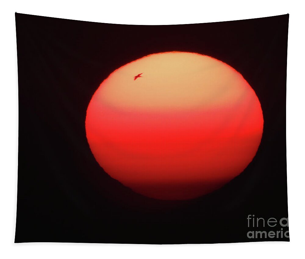 Sunrise Tapestry featuring the photograph Sunrise on the Outer Banks by Scott Cameron
