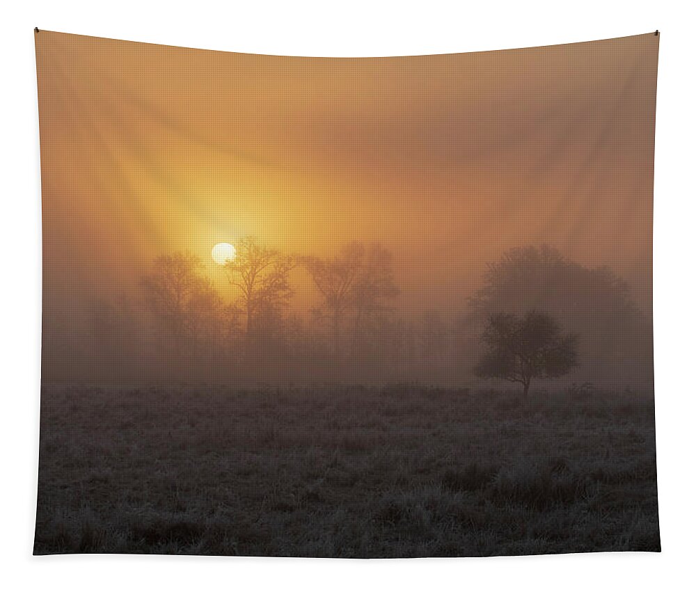 Sunrise Tapestry featuring the photograph Sunrise Through the Fog by Catherine Avilez