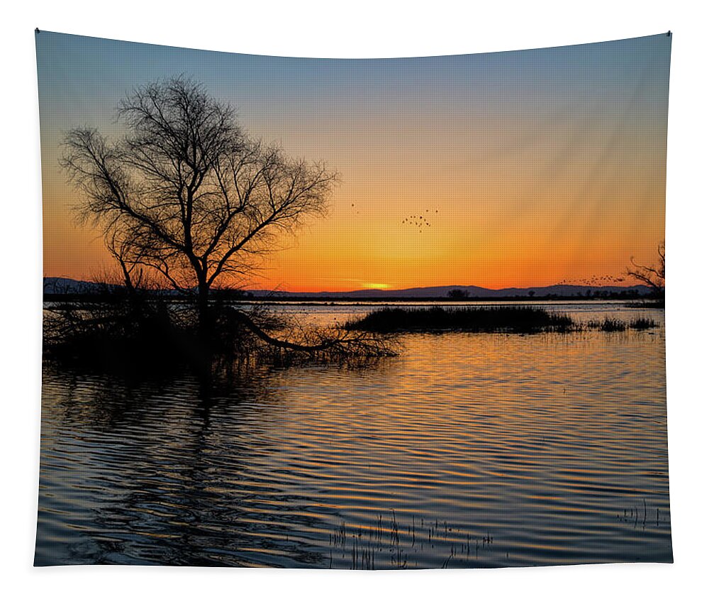 California Tapestry featuring the photograph Sunset in the Refuge by Cheryl Strahl