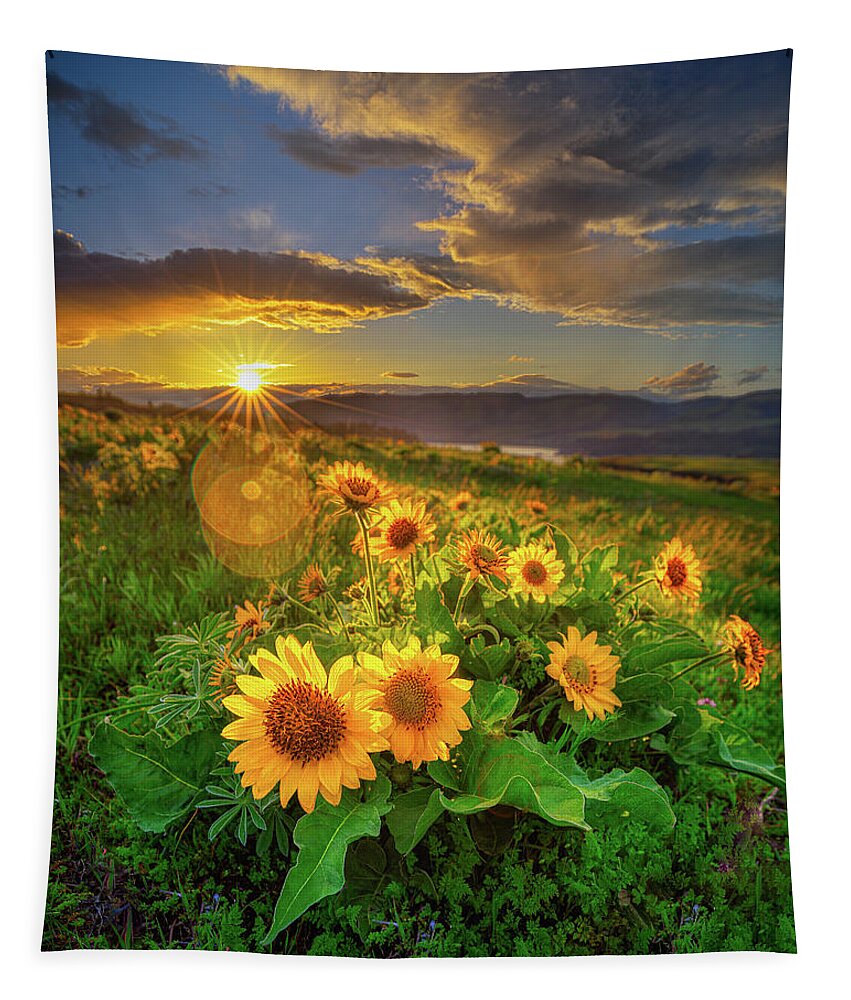 Sunset Tapestry featuring the photograph Sunset Over Rowena by Chris Steele