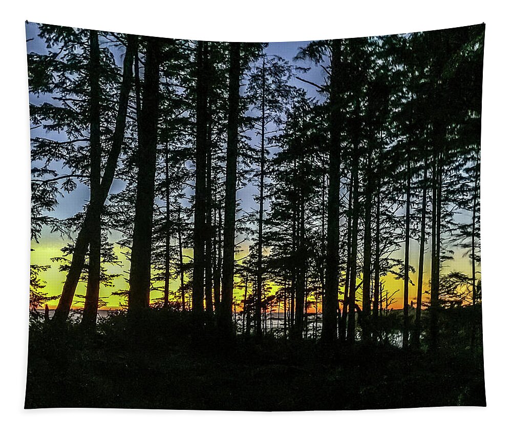 Background Tapestry featuring the photograph Sunset Thru the Trees by Ed Clark
