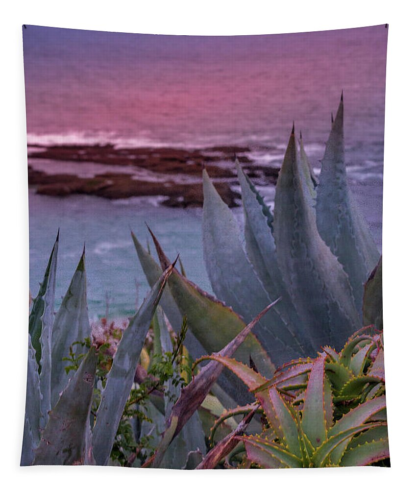 Ocean Tapestry featuring the photograph Sunset Water Aloe and Agaves by Aaron Burrows