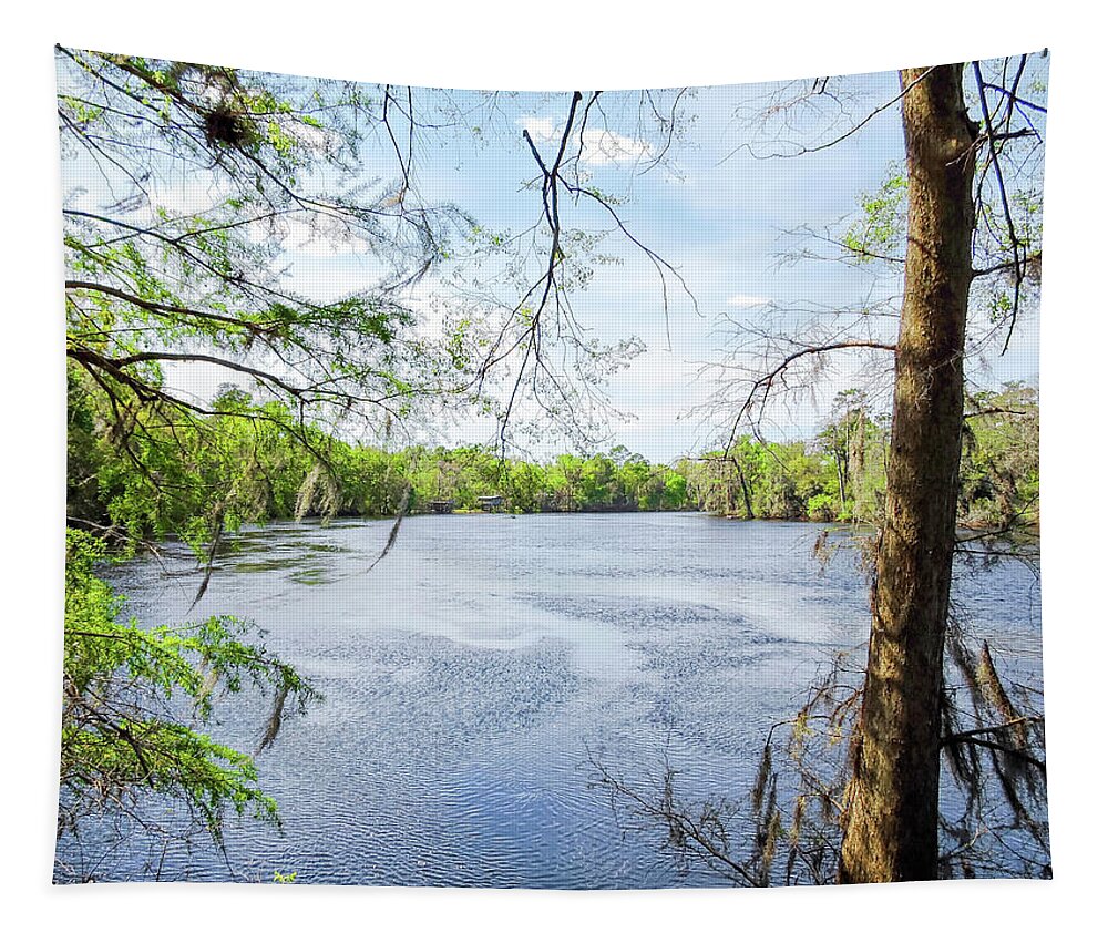 Suwanee River Tapestry featuring the photograph Suwanee River by Susan Hope Finley