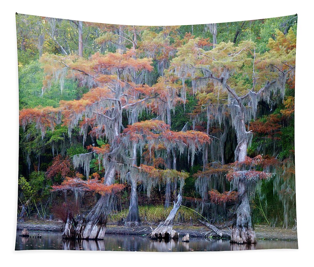 Autumn Tapestry featuring the photograph Swamp Dance by Lana Trussell