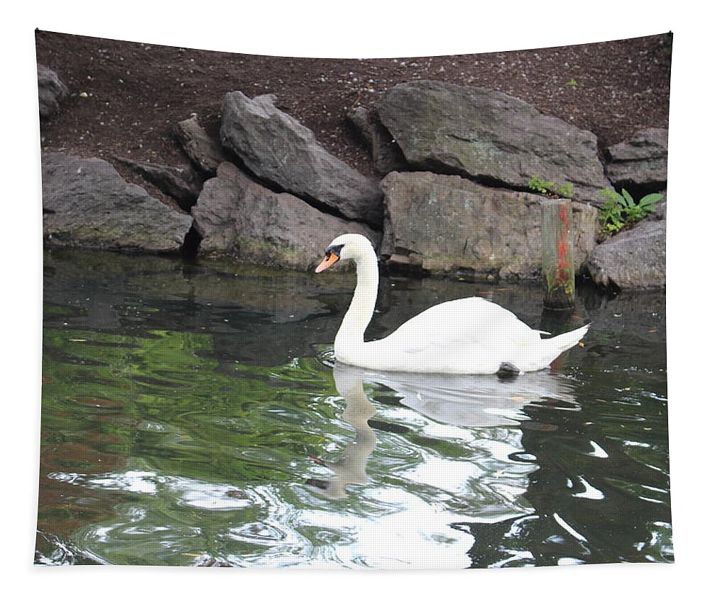 Swan Tapestry featuring the photograph Swan in Boston Public Garden by Laura Smith
