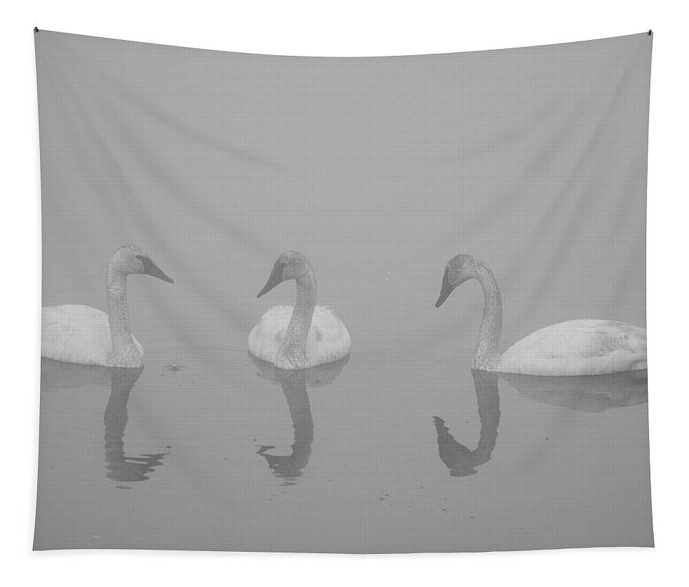 Swan Tapestry featuring the photograph Swan Reflections by Patrick Nowotny