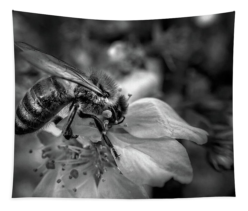 Chrystal Mimbs Tapestry featuring the photograph Sweet Job In Black and White by Greg and Chrystal Mimbs