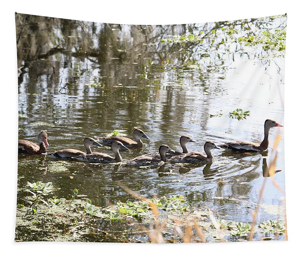 Black-bellied Whistling Duck Tapestry featuring the photograph Swimming Black-bellied Whistling Duck Family by Carol Groenen