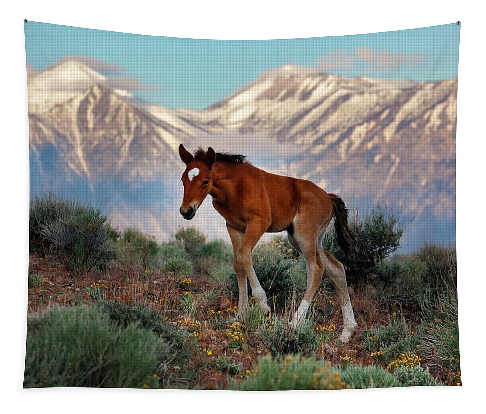  Tapestry featuring the photograph _T__2665Lg by John T Humphrey