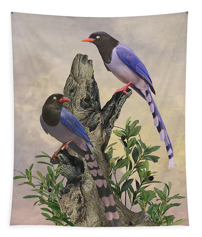 Birds Tapestry featuring the digital art Taiwan Blue Magpies by M Spadecaller