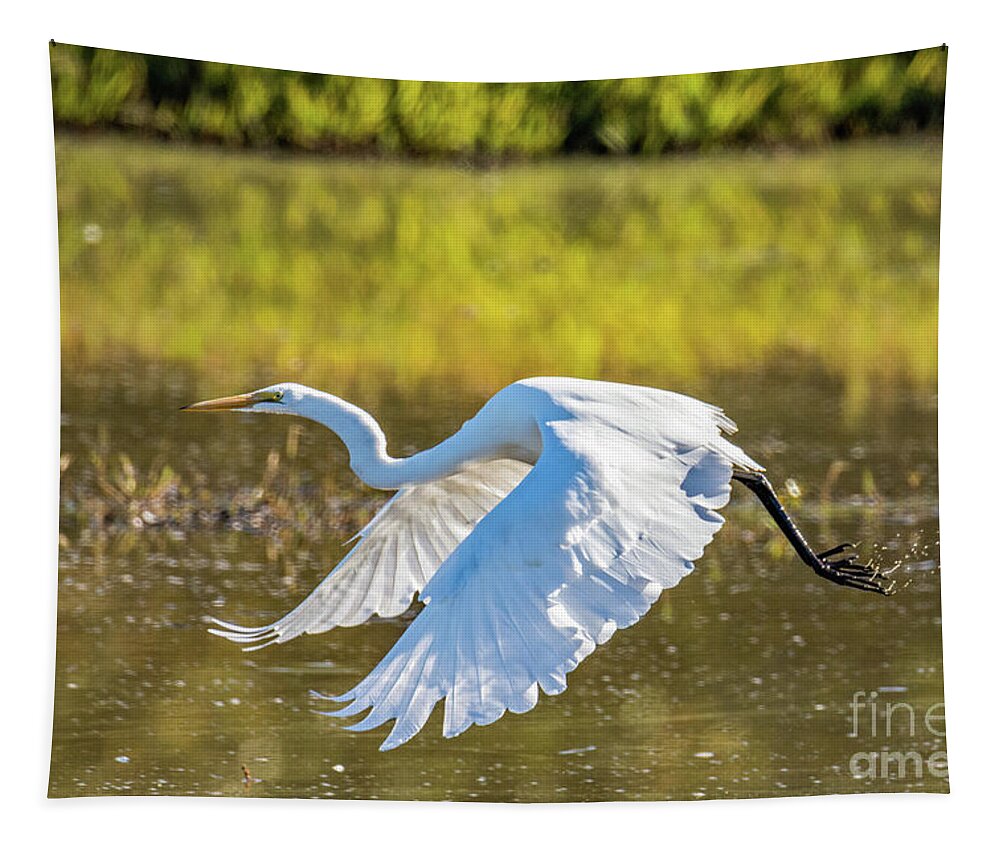 Marsh Tapestry featuring the photograph Take Off by Craig Leaper