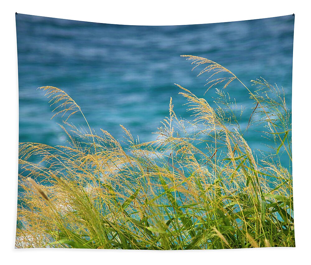 Ocean Tapestry featuring the photograph Tall Grass Against a Blue Ocean by Christopher Johnson