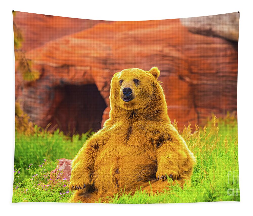 Bear Tapestry featuring the photograph Teddy Bear by Dheeraj Mutha