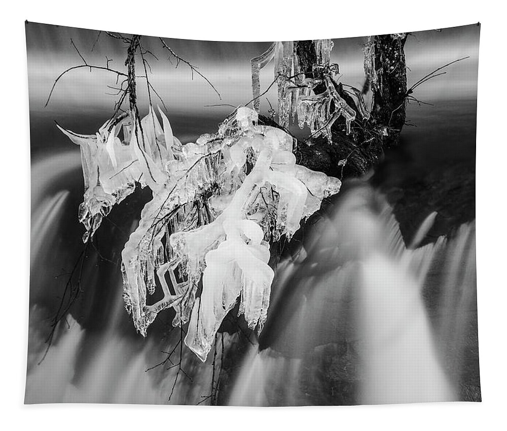 10 Mile River Tapestry featuring the photograph Ten Mile River VII Hunts Mills BW by David Gordon