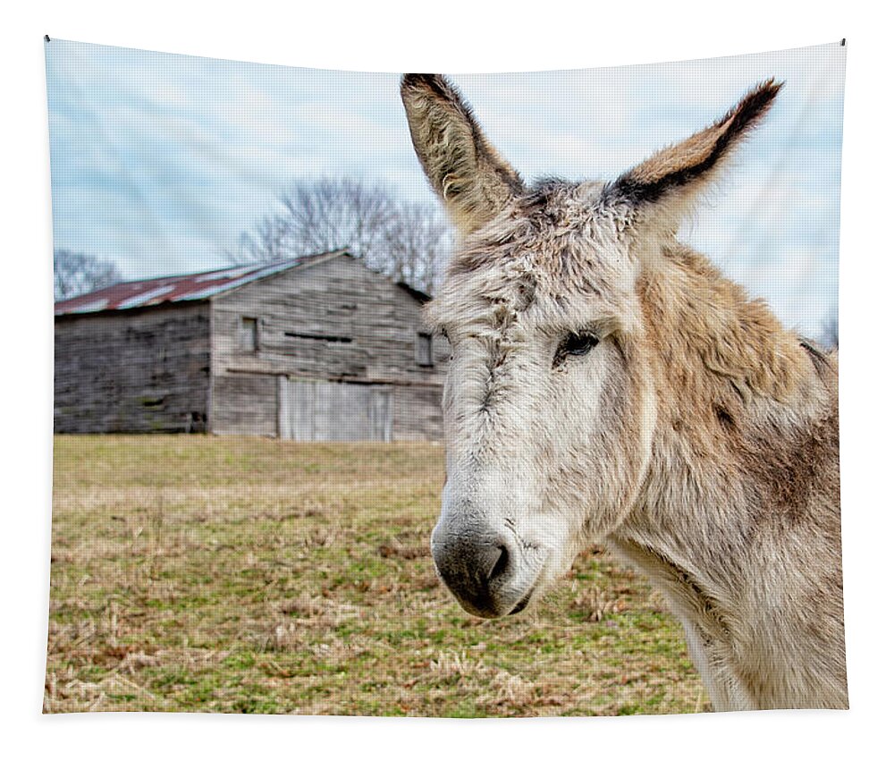 Mule Tapestry featuring the photograph Tennessee Country Mule by Marcy Wielfaert
