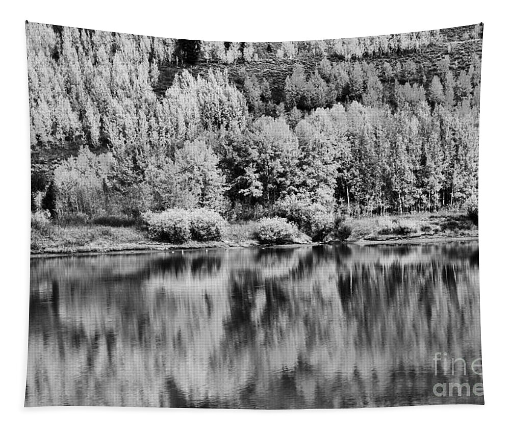 Oxbow Tapestry featuring the photograph Teton Fall Foliage Reflections Black And White by Adam Jewell