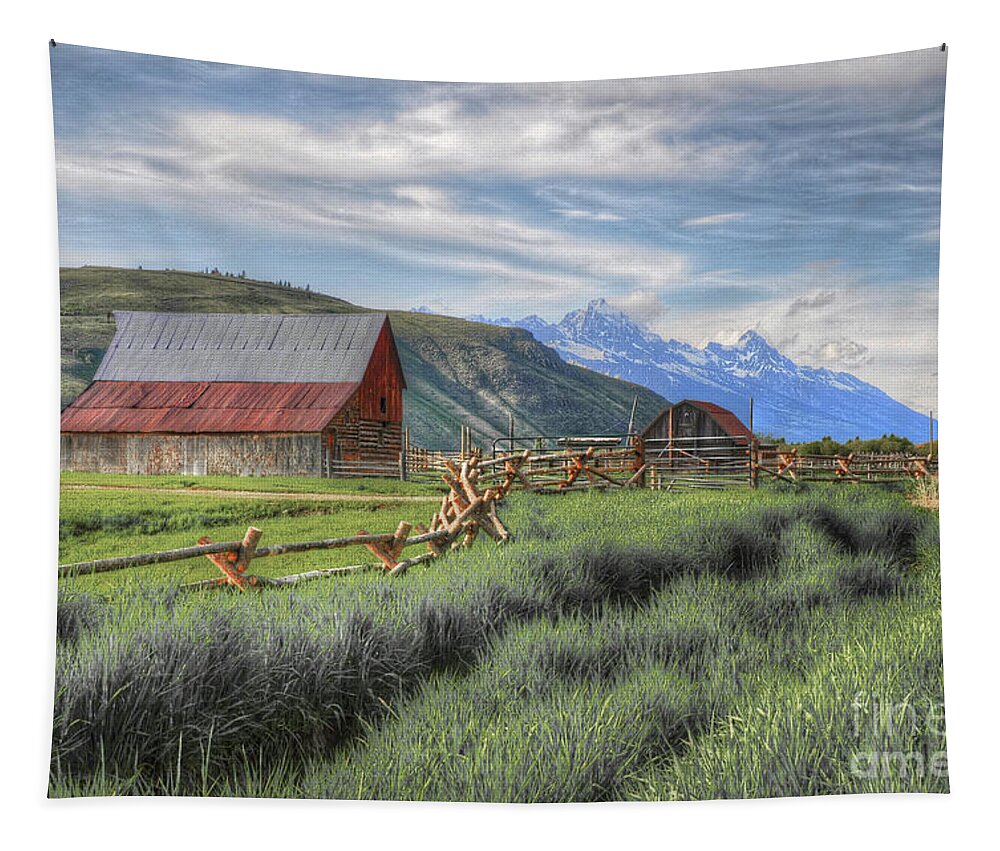 Tetons Tapestry featuring the photograph Teton Charm by Randall Dill