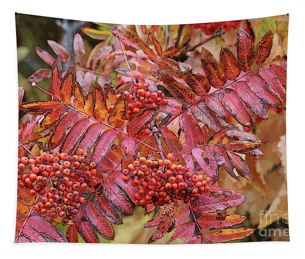 Autumn Leaves Tapestry featuring the photograph Textures and Colors of Autumn by Carol Groenen