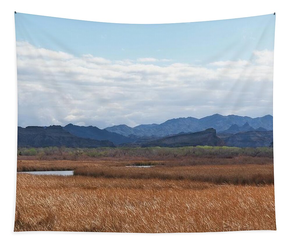 Landscape Tapestry featuring the photograph The Bill Williams River by Allan Van Gasbeck