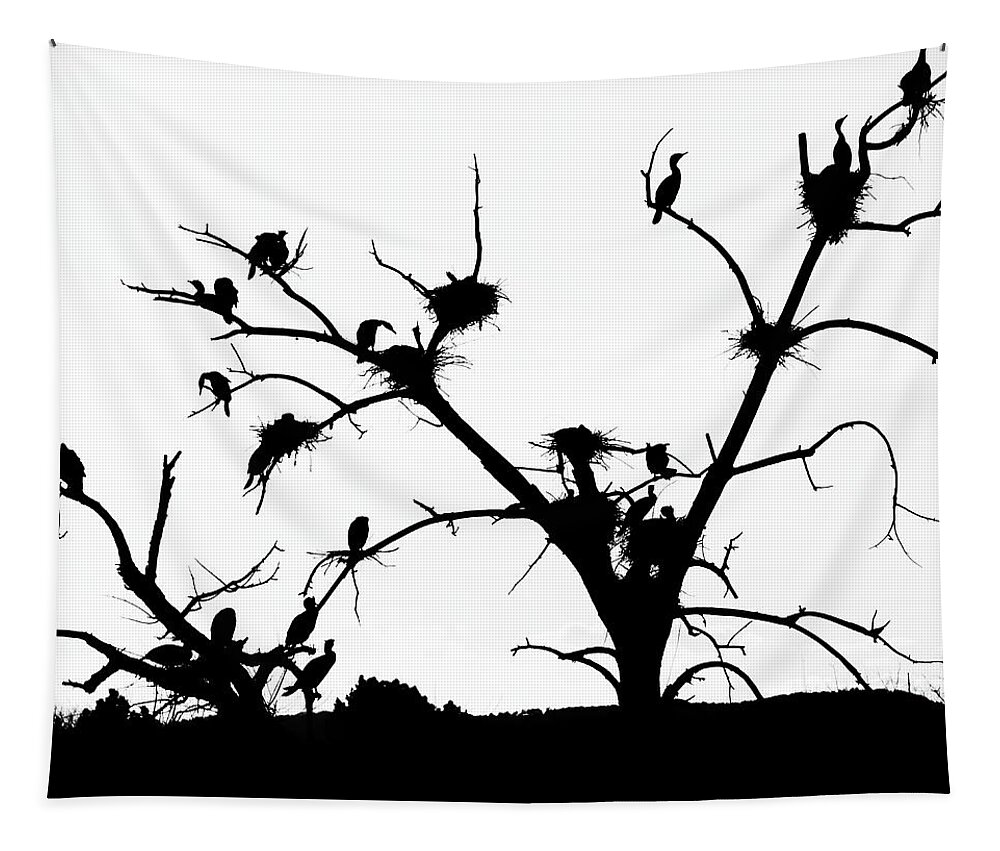Cormorant Tapestry featuring the photograph The Birds by Kevin Schwalbe