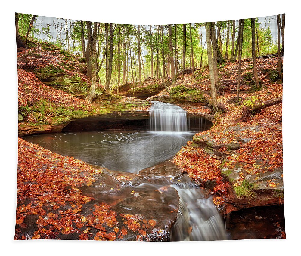 Waterfall Tapestry featuring the photograph The Cascades at Houghton Falls by Susan Rissi Tregoning
