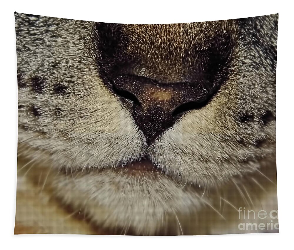Nose Tapestry featuring the photograph The - Cat - Nose by D Hackett