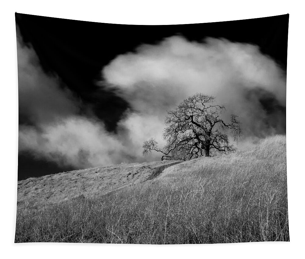 Panoramic Tapestry featuring the photograph The clouds and the tree by Alessandra RC