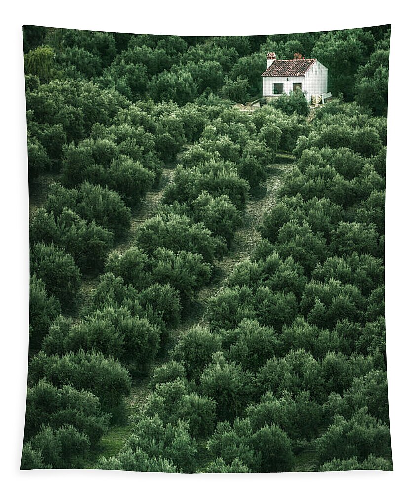 Kremsdorf Tapestry featuring the photograph The Color Of Solitude by Evelina Kremsdorf