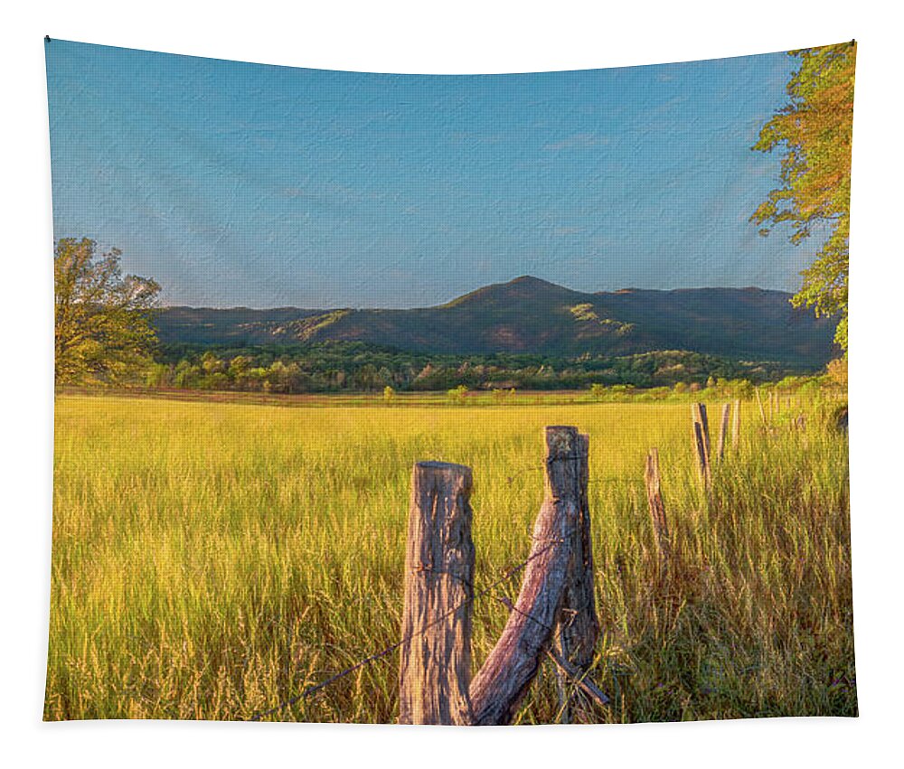 Cades Cove Tapestry featuring the photograph The Cove Tree in the Golden Hour by Marcy Wielfaert