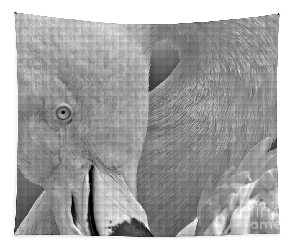 Flamingo Tapestry featuring the photograph The Flamingo Pose Black And White by Adam Jewell