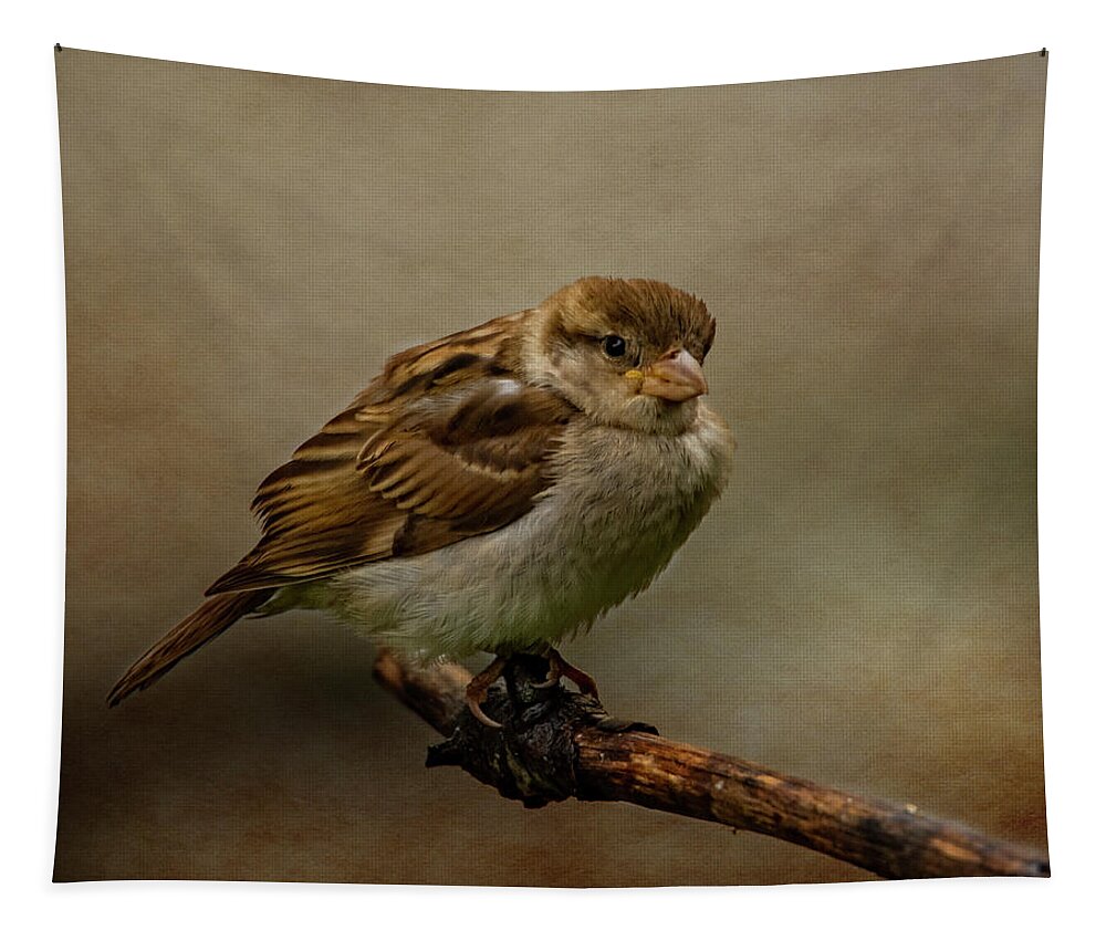 Bird Tapestry featuring the photograph The Fledgeling by Cathy Kovarik