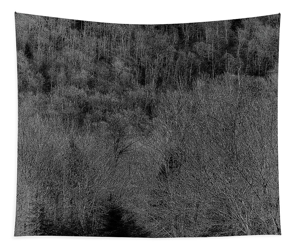The Hillside Tapestry featuring the photograph The Hillside by David Patterson