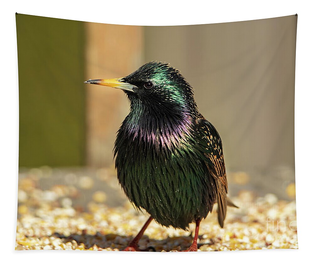 Bird Tapestry featuring the photograph The Iridescent Plumage of a Starling Bird by Sandra J's
