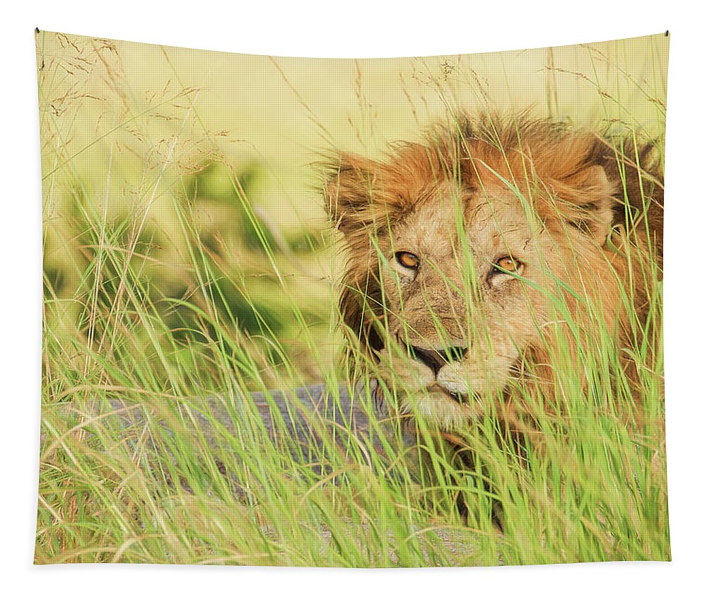 Lion Tapestry featuring the photograph The King by Gaye Bentham